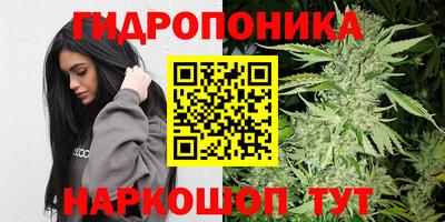 гашик Северобайкальск
